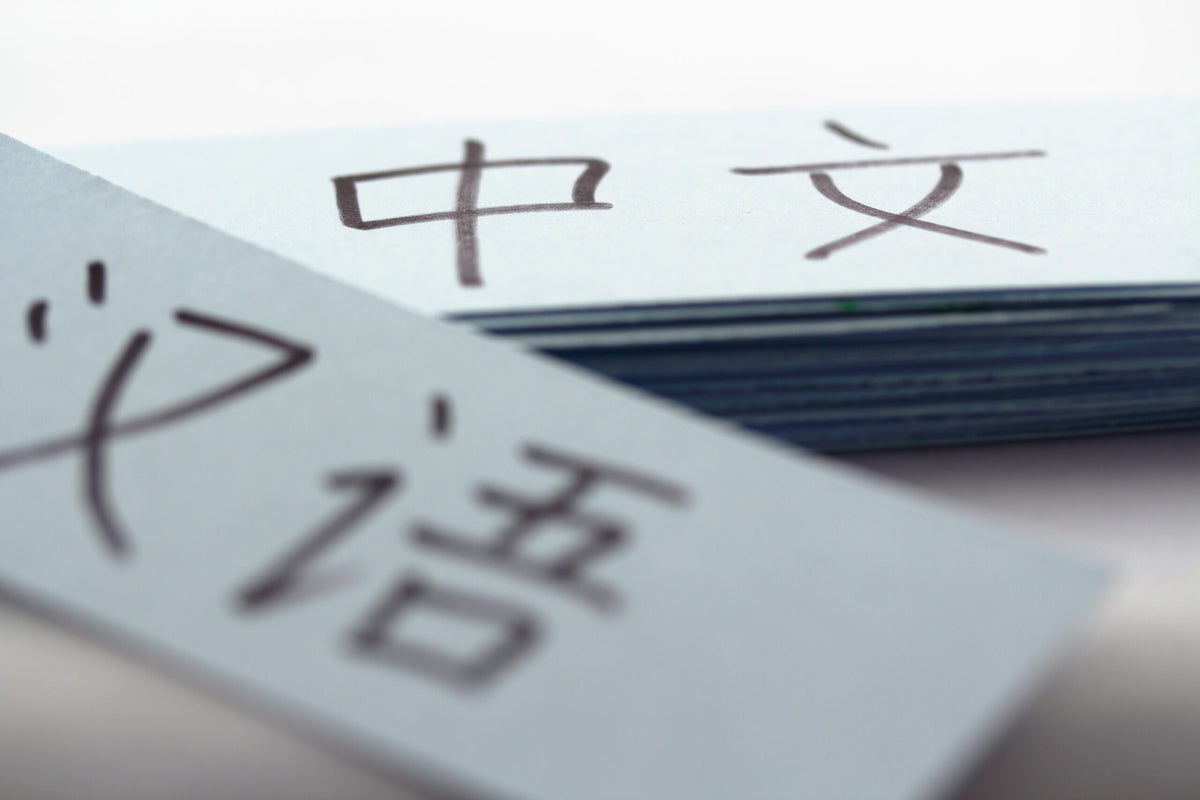 Learn More about Common Chinese Homophones!