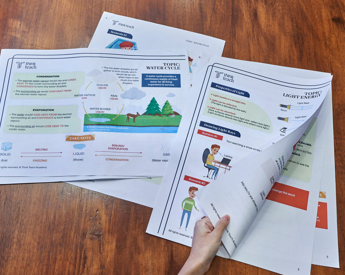 How Do PSLE Holiday Programmes Help Kids Catch Up Before the Best PSLE Tuition Season Begins?