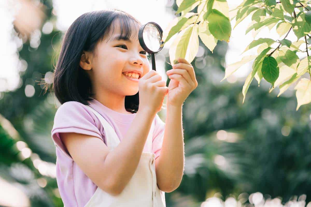 Learning Beyond English, Mathematics, Science and Mother Tongue
