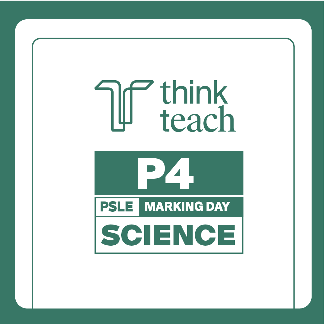 P4 Science Marking Day Programme