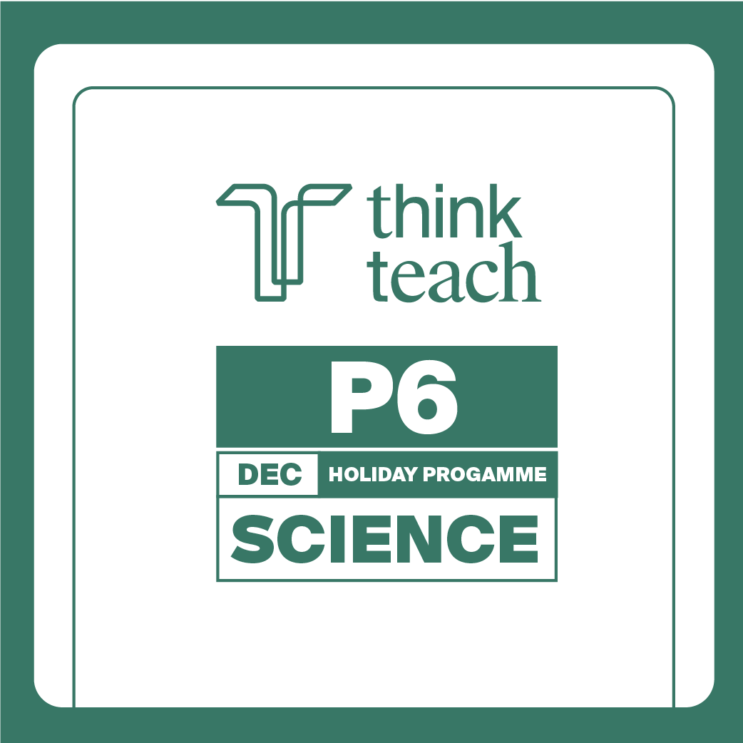 P6 Science December Holiday Programme