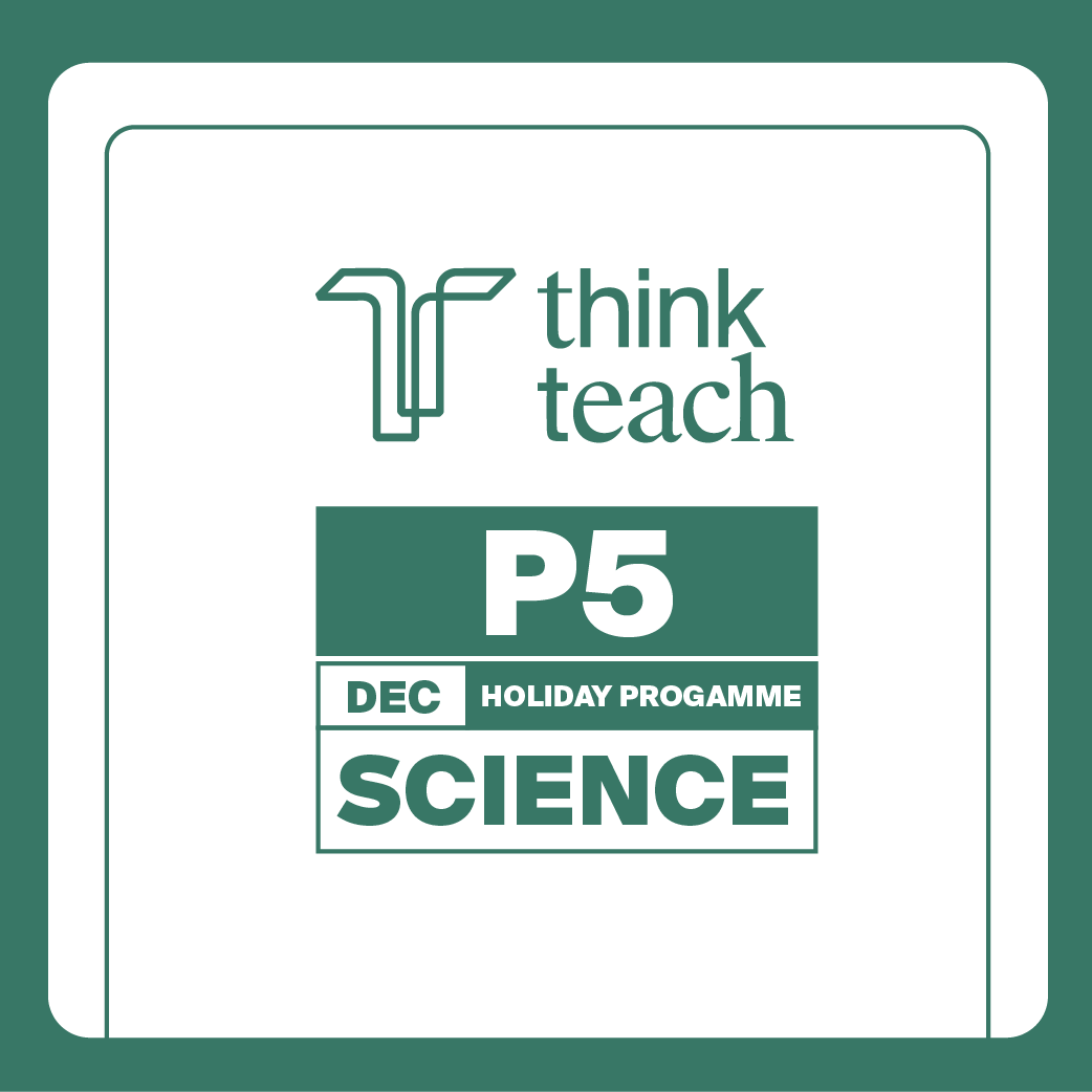 P5 Science December Holiday Programme